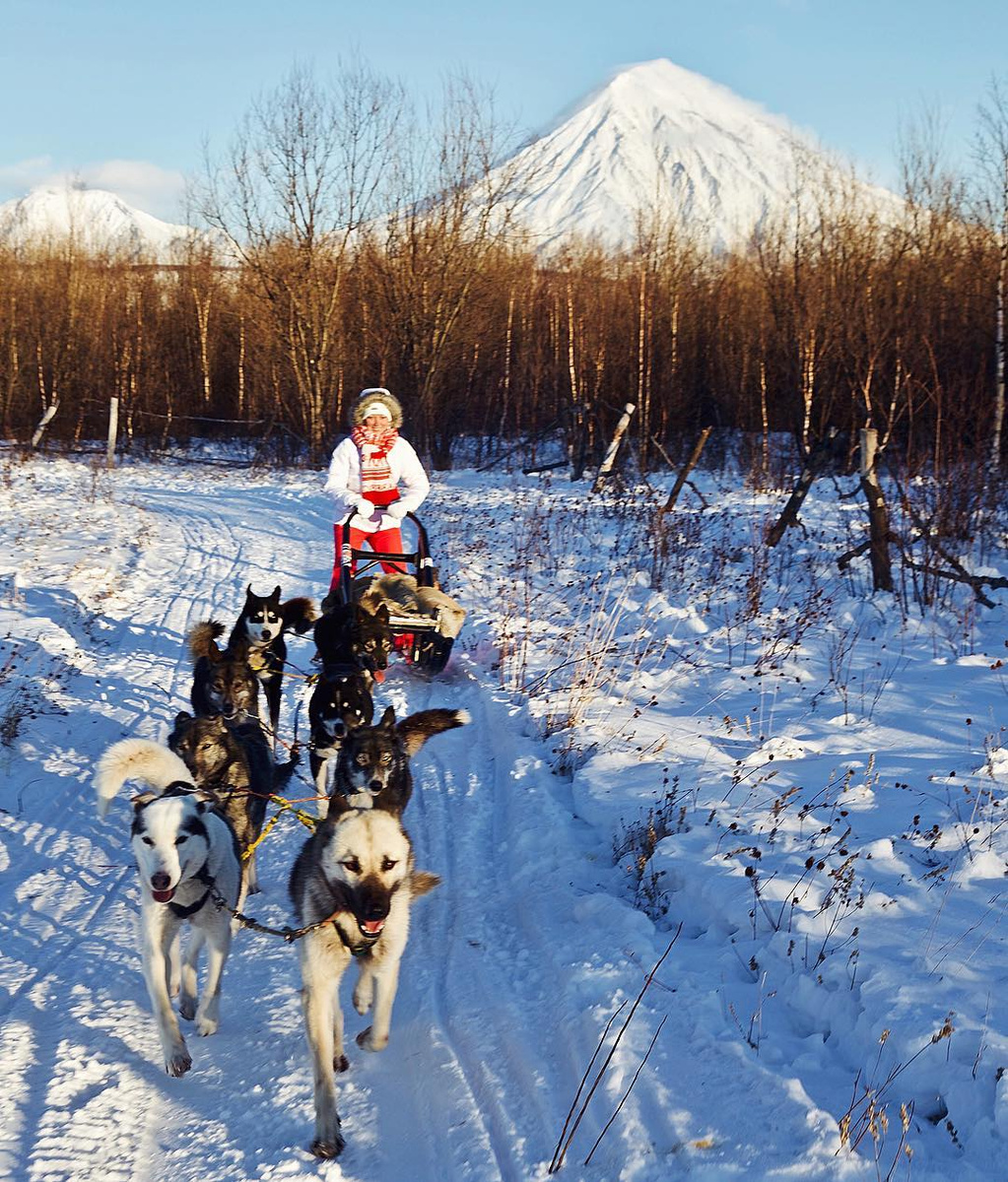 Olga drives a mixed sled-dog team along a snowy Kamchatka track with a volcano behind