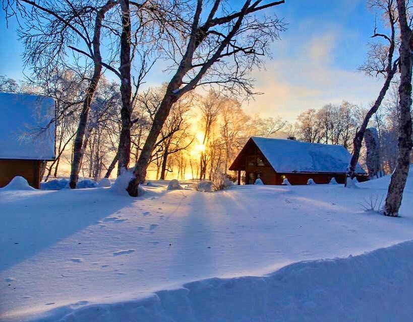 Wooden cottages among birch trees and deep snow at North Adventures Kamchatka in low winter sunlight