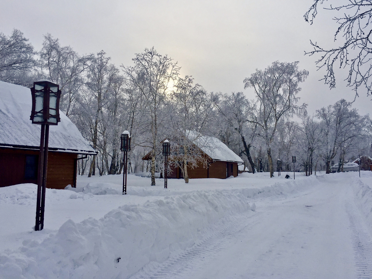 A snow-cleared lane between wooden cottages and frost-covered trees at North Adventures Kamchatka