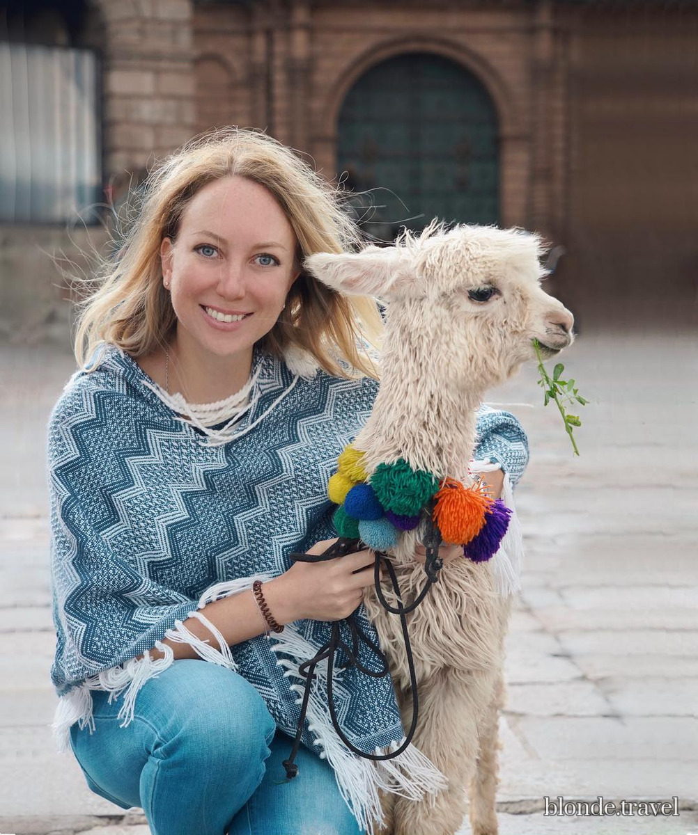 Olga kneels beside a white alpaca wearing colorful pom-poms in Cusco.