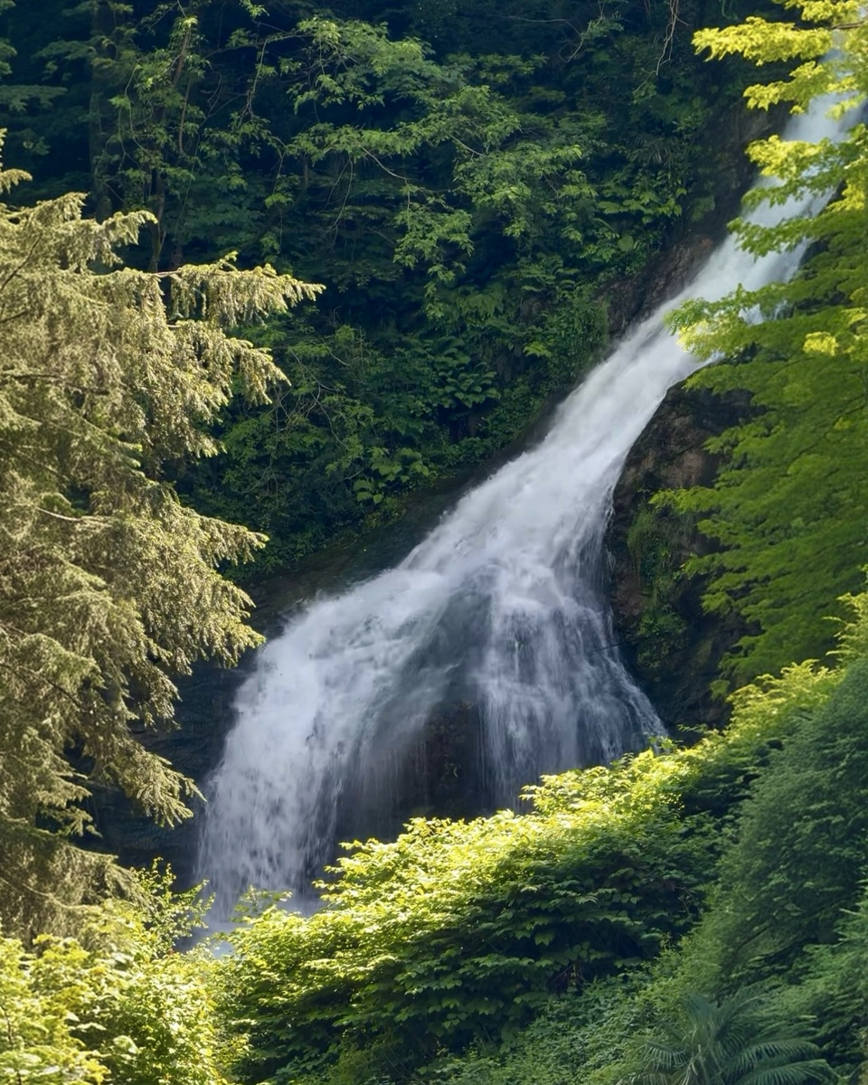 A waterfall divides into two streams among dense green woodland at Orrido di Bellano.