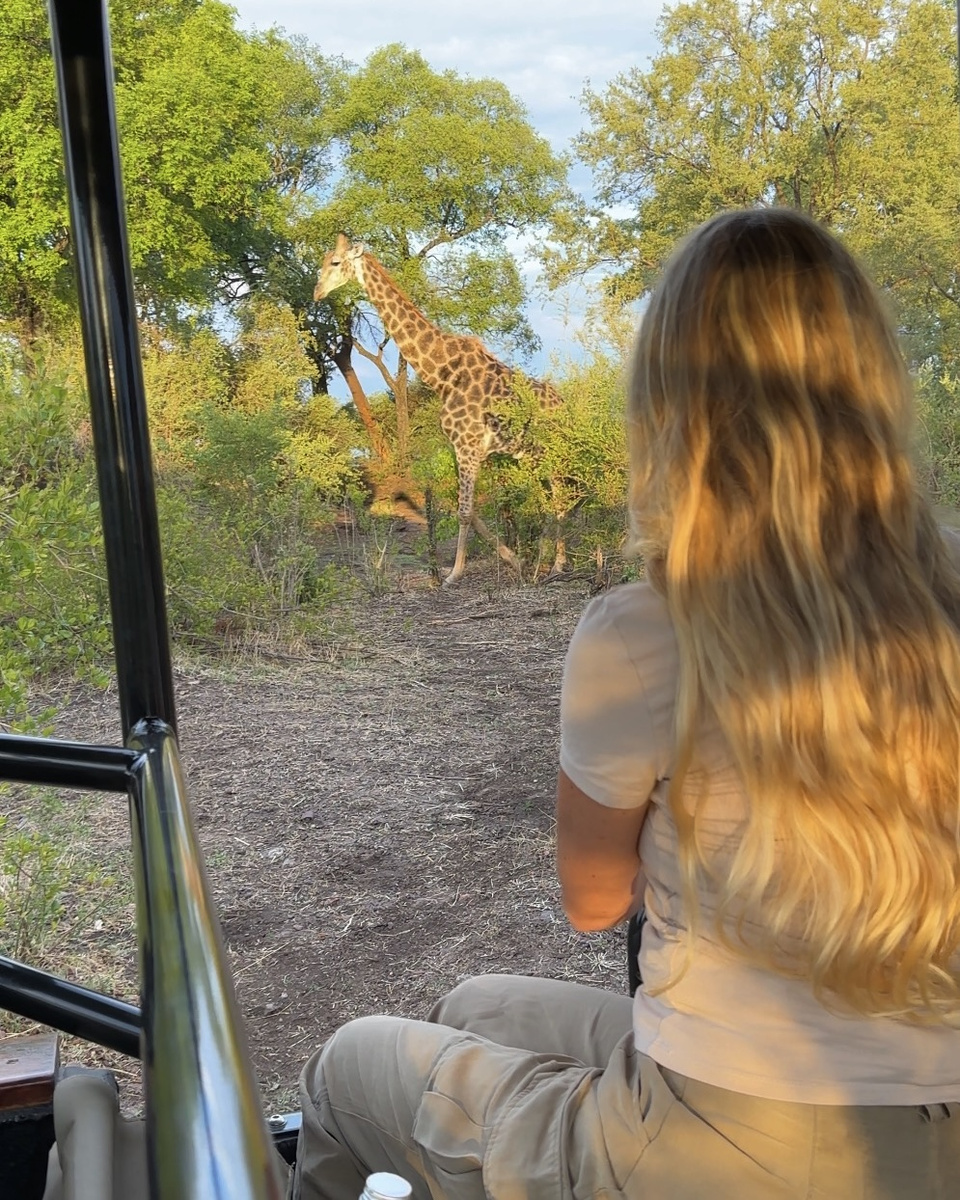 Olga watches a giraffe from an open game-drive vehicle in Zambezi National Park.