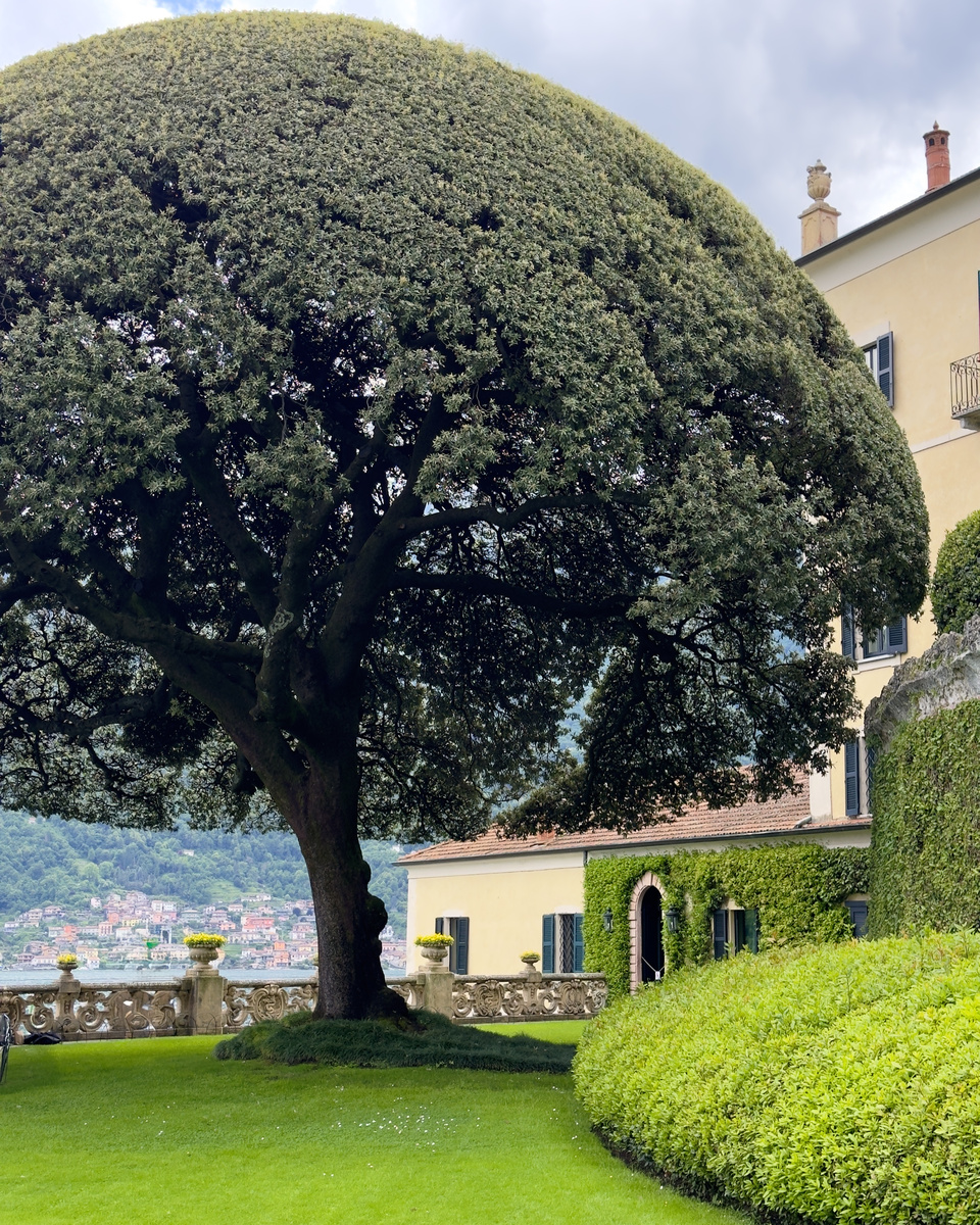 A broad sculpted tree shades the lawn beside the yellow Villa del Balbianello, with Lake Como and the opposite shore behind.