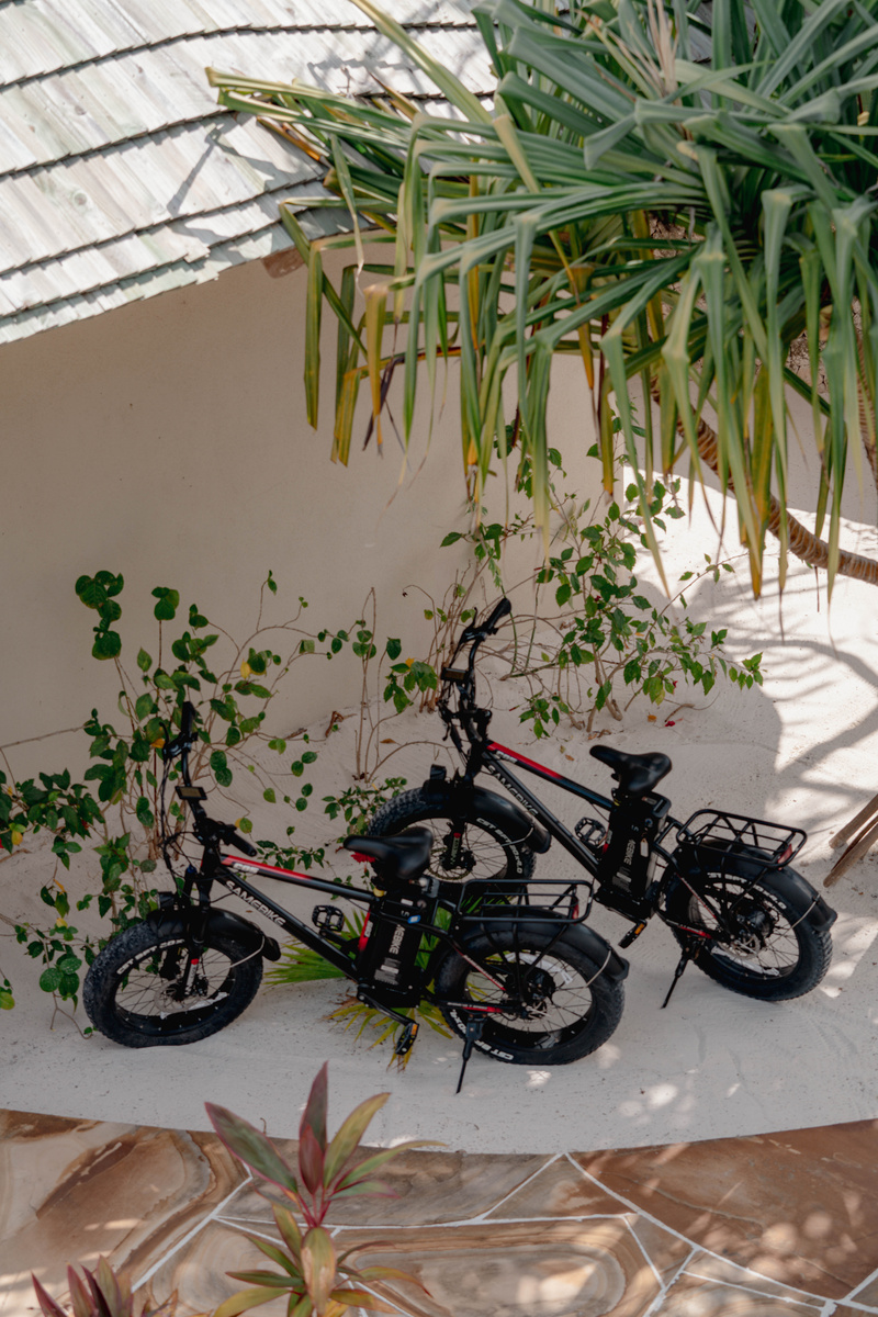Two compact electric bicycles stand beneath tropical foliage at Zanzibar White Sand.
