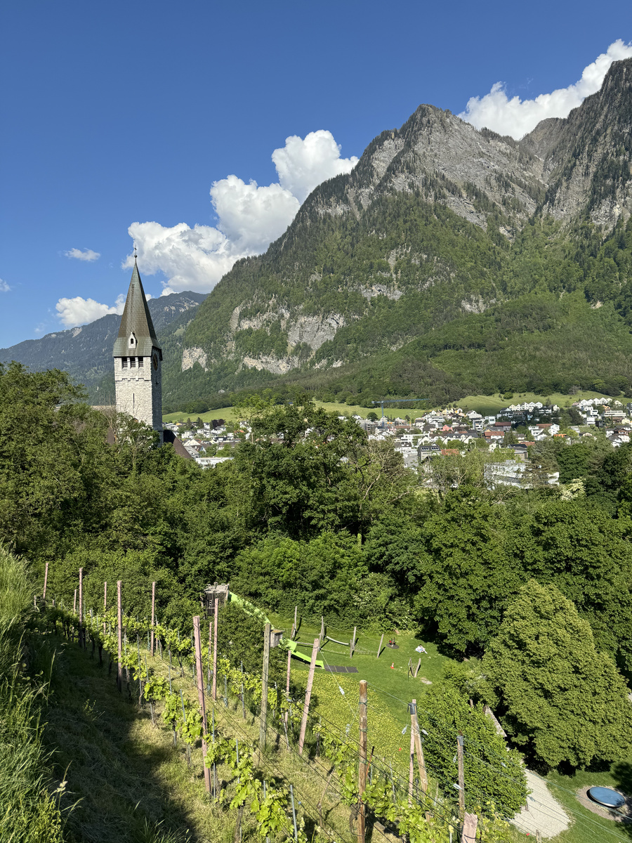 View from Gutenberg’s vineyard slope across Balzers, with a church tower below the mountains.