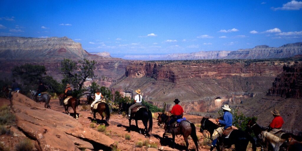 A line of mounted riders follows a trail above a broad red-rock canyon.