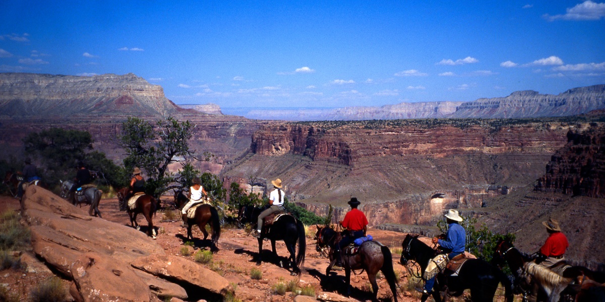 A line of mounted riders follows a trail above a broad red-rock canyon.