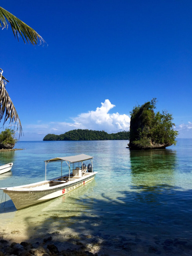 A Black Marlin boat in clear shallows beside a wooded rock off Kadidiri.