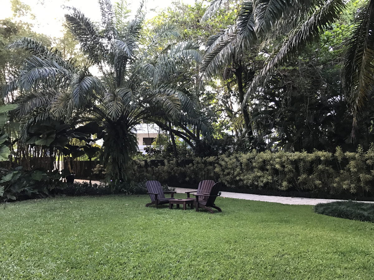 Two wooden chairs beneath palms in the hotel garden