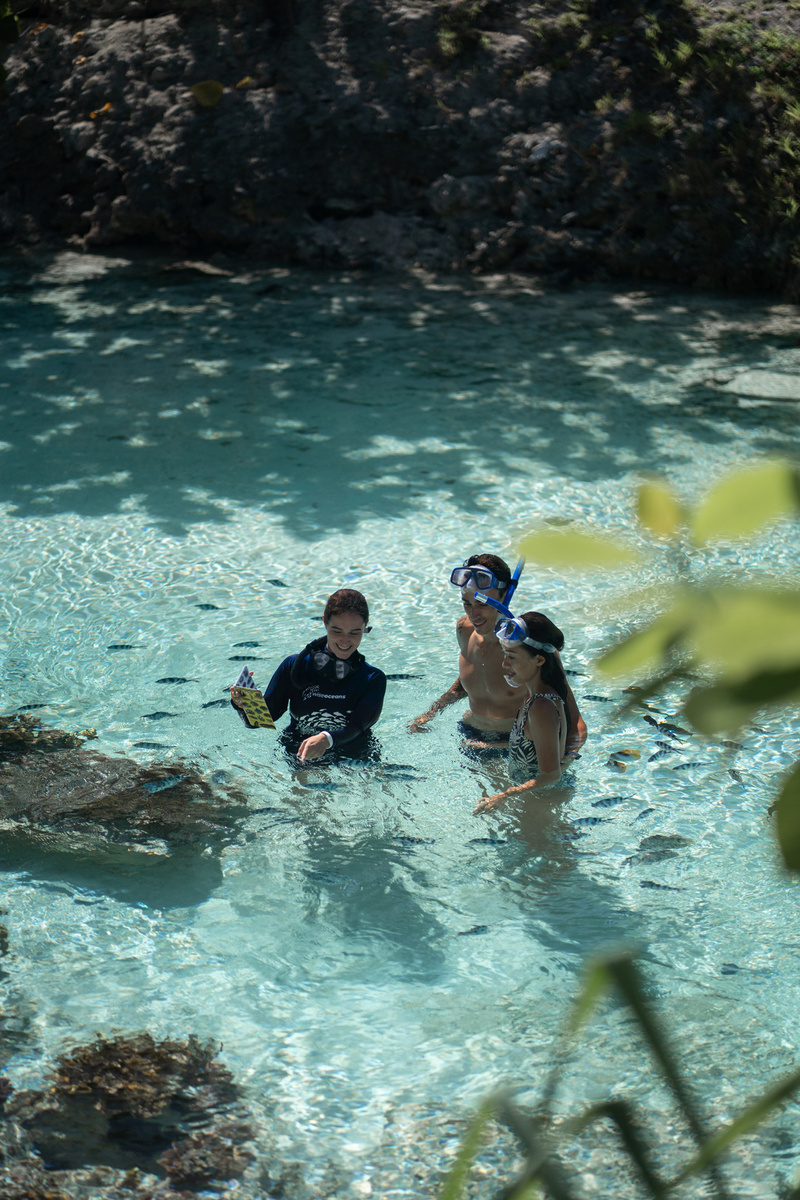 A Four Seasons guide showing a fish identification card to two snorkellers in clear lagoon water