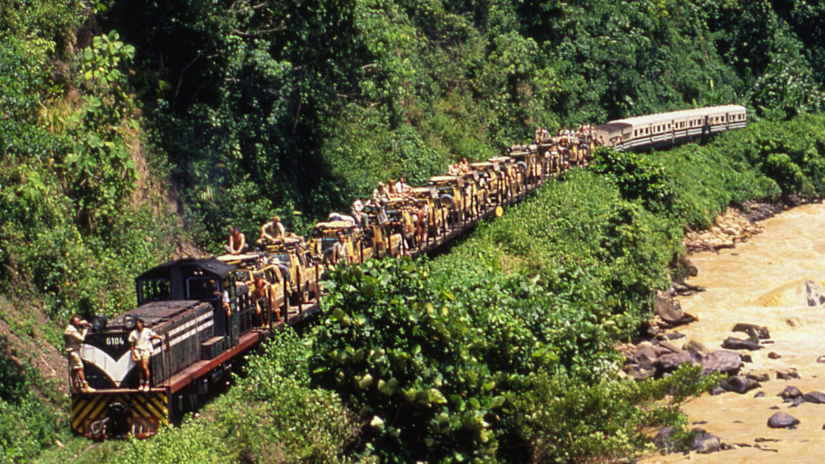A train carries a long line of yellow Land Rovers through dense forest beside a brown river.