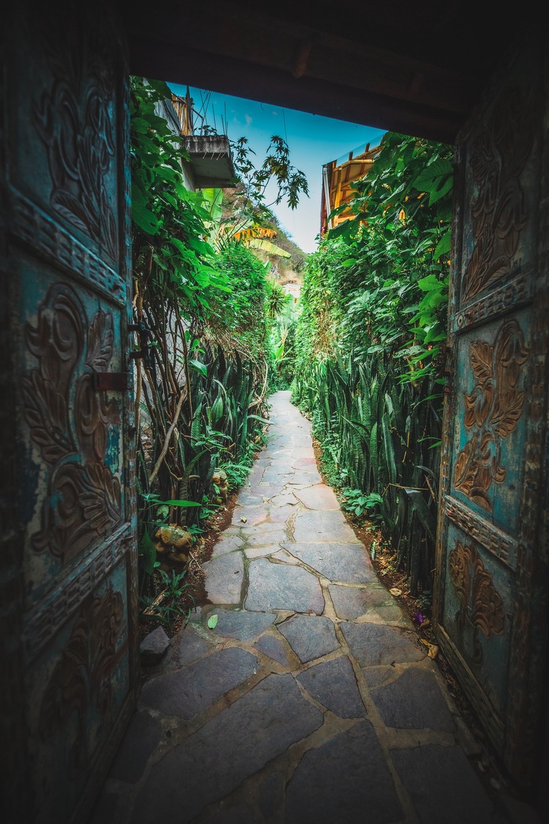 Carved wooden doors opening onto a stone path between dense plants