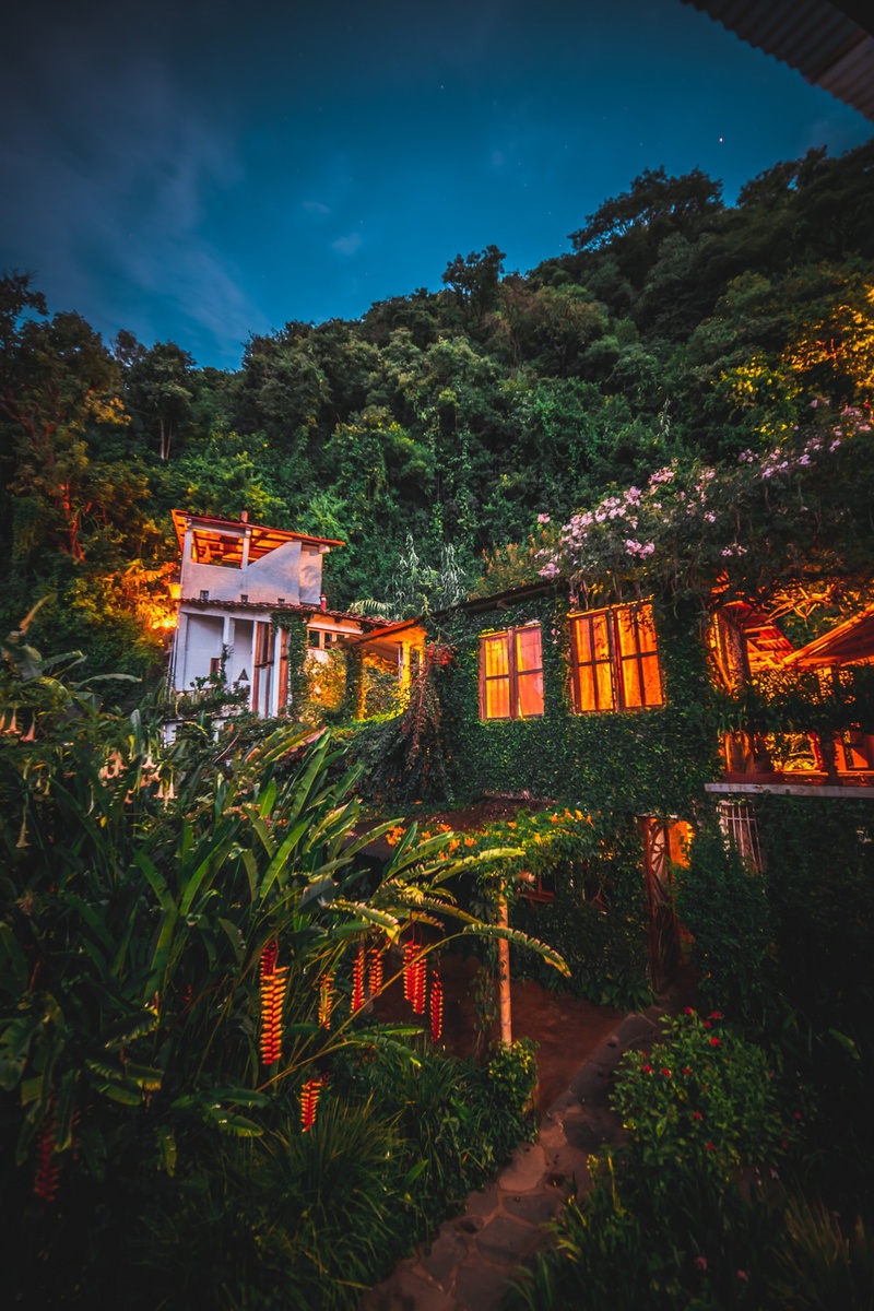 Warmly lit windows among garden foliage after dark