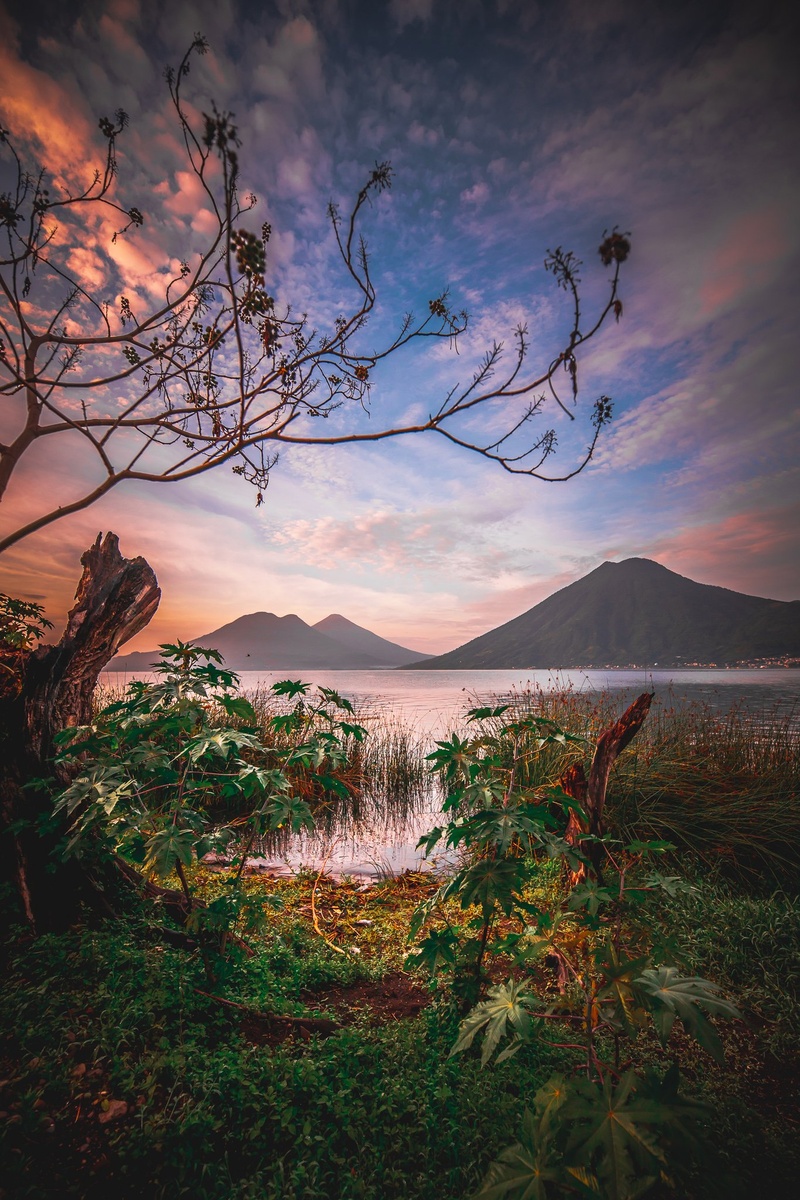 Reeds and trees at the lakeshore beneath a pink sky and volcanoes