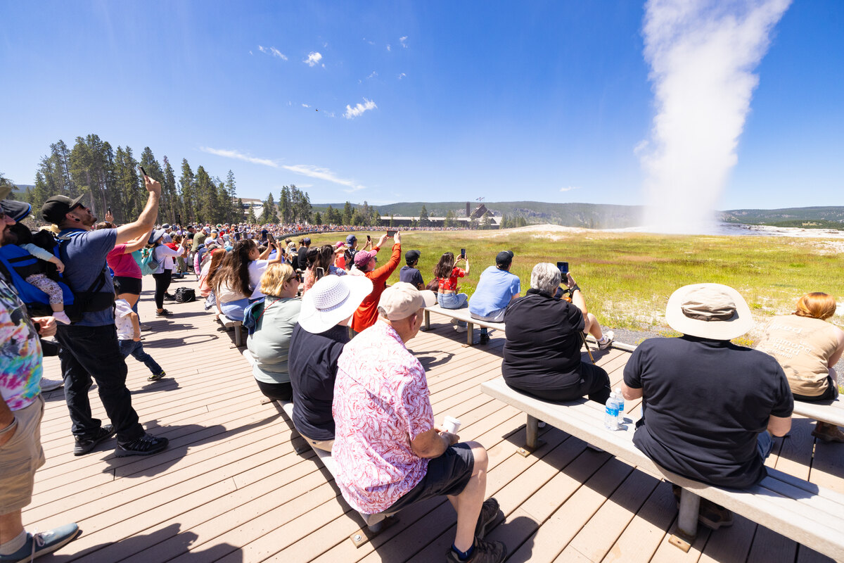 Visitors on benches and a boardwalk watch Old Faithful erupt on a summer day, many holding up phones.