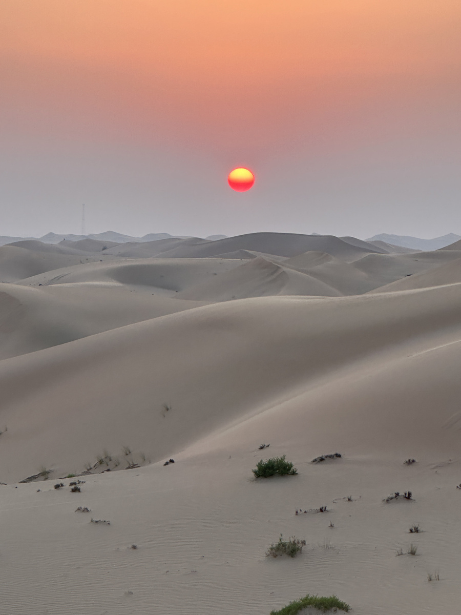 A red sun above layered dunes and scattered shrubs near Abu Dhabi.