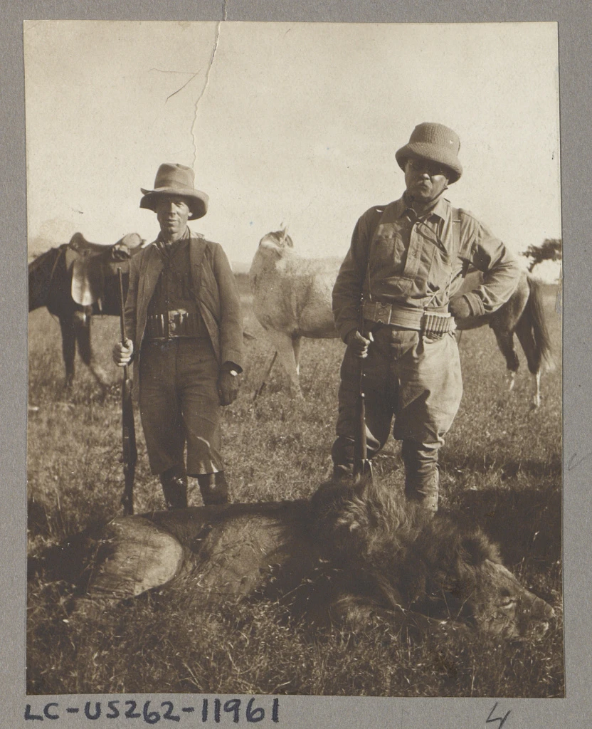 Leslie Tarlton and Theodore Roosevelt stand with rifles behind a dead lion, with horses in the background.