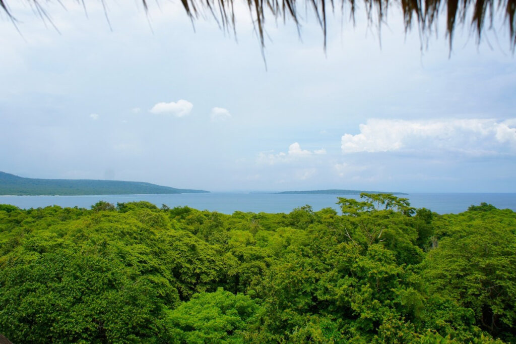 Forest canopy and the sea viewed from beneath the thatched roof of Bali Tower at The Menjangan.