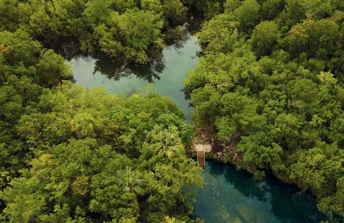 Aerial view of a freshwater lagoon surrounded by dense green forest.