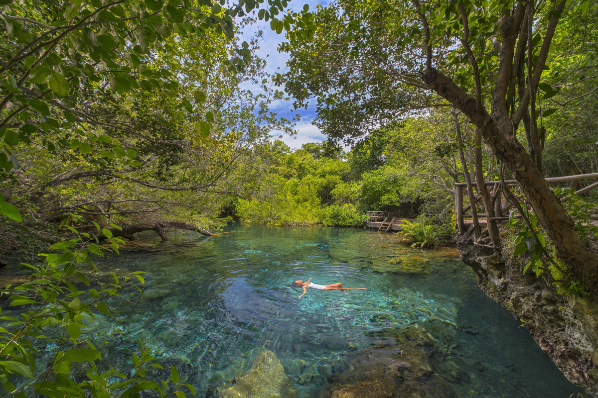A freshwater lagoon surrounded by trees in the Ojos Indígenas reserve.
