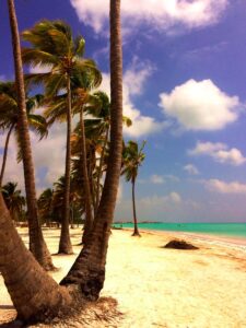 Tall palms line the sand at Juanillo Beach.