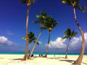 Sunlit palms stand against the blue sky and sea at Juanillo.