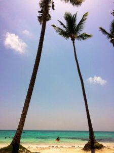 Two tall coconut palms beside the water at Juanillo Beach.