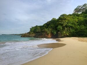 A quiet end of Playa Rincón beneath a wooded headland.