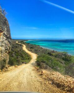 A dirt road follows the rocky coast above Bahía de las Águilas.