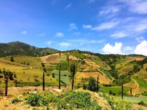 Cultivated green hills on the journey through the Constanza mountains.