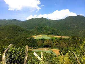 A wooded mountain valley and fields near Constanza.