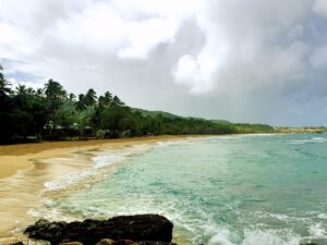 White surf reaches the sand below green hills at Playa Grande.