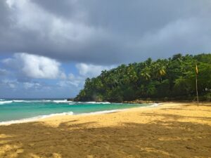 A palm-lined cove beneath dark clouds at Playa Grande.