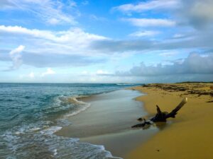 Waves wash a deserted sandy shore in the Seven Brothers islands.