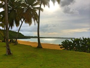 A grassy shore and coconut palms beneath a cloudy sky at Playa Morón.