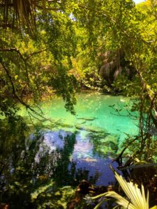 Clear turquoise lagoon water beneath trees at Indigenous Eyes.