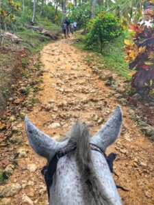 A horse’s ears frame a rocky forest trail towards El Limón waterfall.