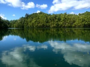 Trees and clouds reflected in the Togian Islands’ jellyfish lake.