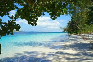 Branches shade the beach beside clear turquoise water on the Gili islands.
