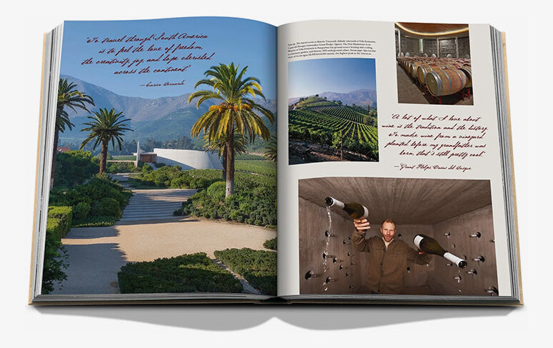 An open spread with a palm-lined vineyard estate, rows of vines, wine barrels and a cellar portrait.