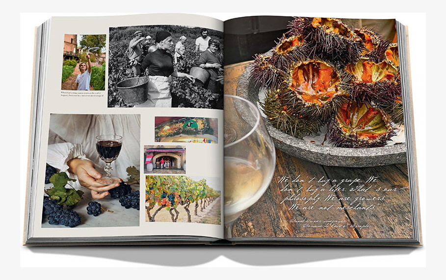 An open spread with grape harvesting, a glass of red wine, vineyard scenes and sea urchins.