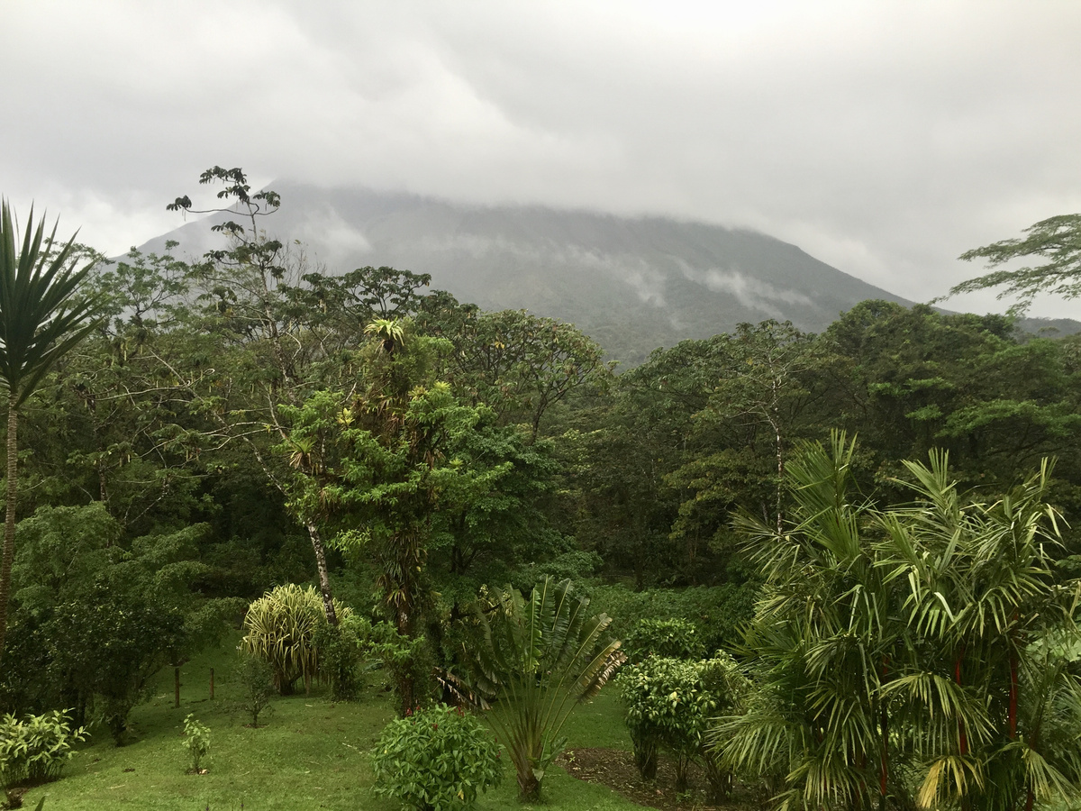 Arenal Volcano partly hidden by low cloud above the lodge’s gardens.