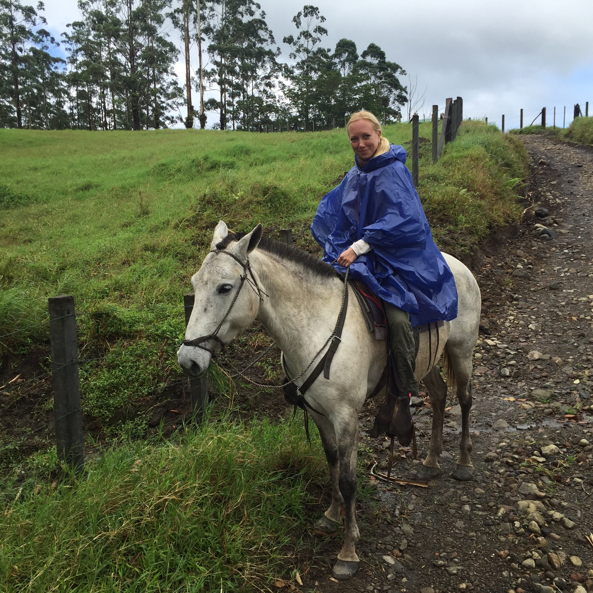 Olga in a blue rain poncho riding a white horse on a track through the lodge’s pasture.