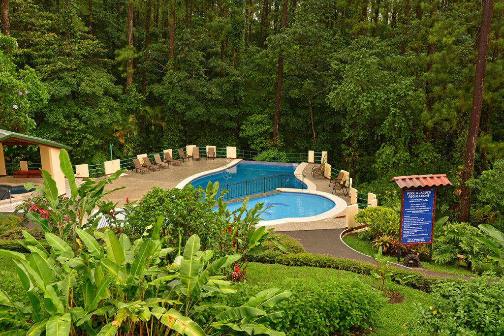 The lodge’s swimming pool and sun terrace surrounded by tall forest trees.