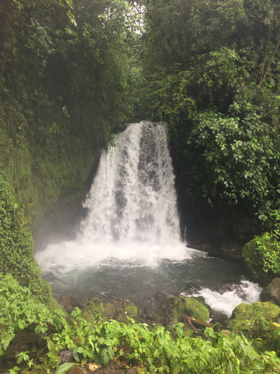 Danta Waterfall pouring into a rocky pool surrounded by rainforest.