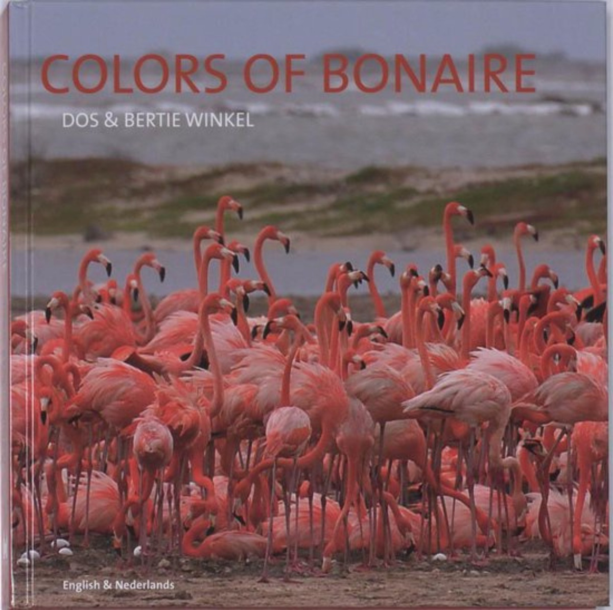 The cover of Colors of Bonaire by Dos and Bertie Winkel, showing a crowded colony of pink flamingos on a grey shoreline.