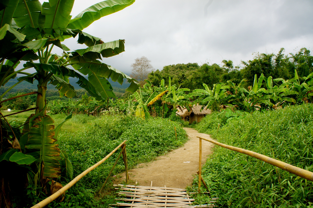A narrow bamboo footbridge and path run through banana plants towards village huts.