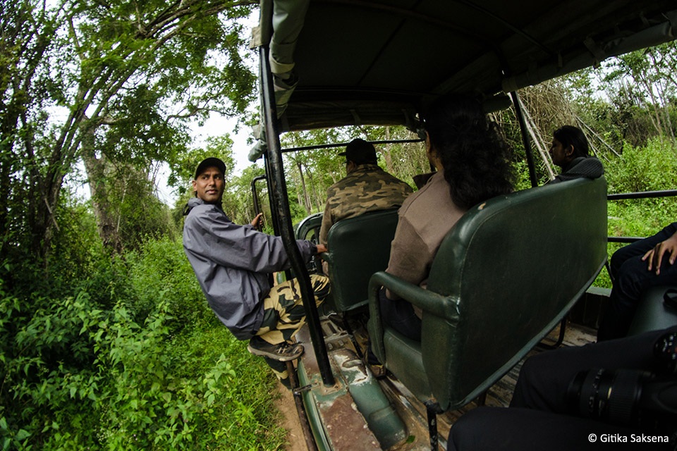 Naturalist Afsar looks back towards guests from the side of an open safari vehicle in the forest.