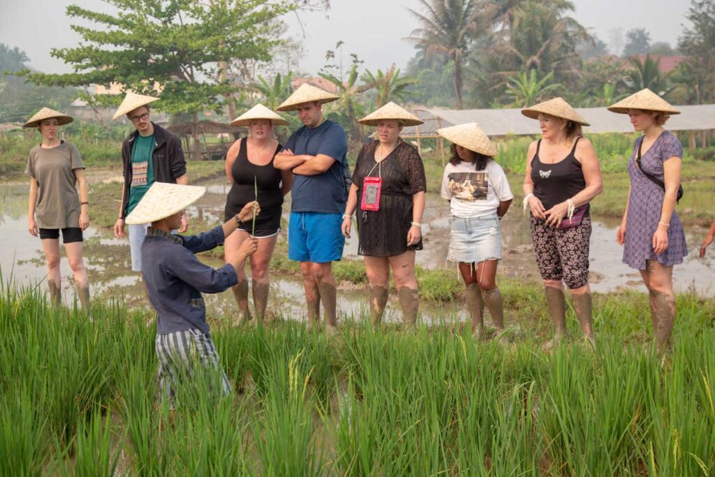 A farm guide holds up a rice seedling for visitors standing in a flooded paddy.