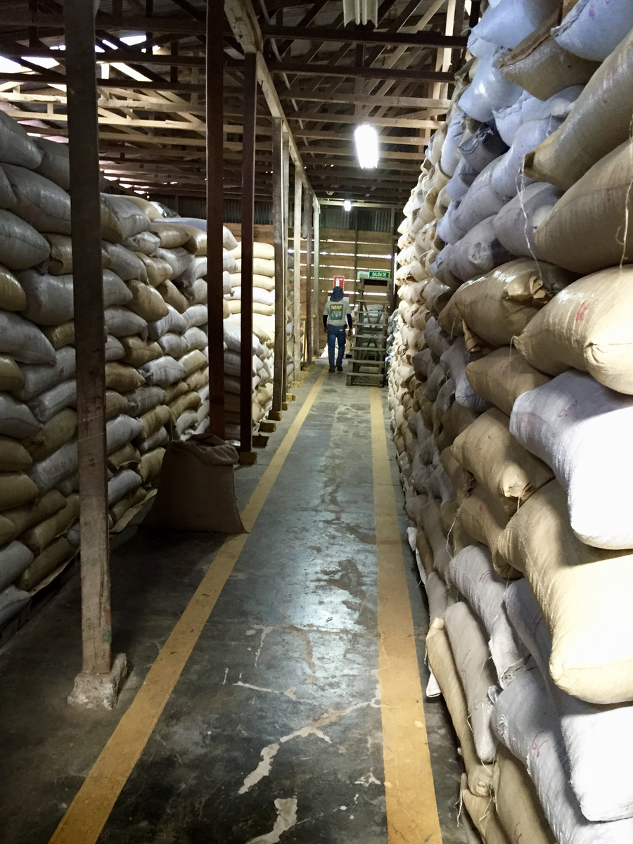An aisle between stacked sacks of coffee in the wooden storehouse at Doka Estate